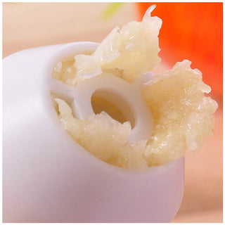 New Garlic Ginger Shredder Cutter Hand Driven Handle Presser Kitchen Tool Helper #55561 Alodia Store