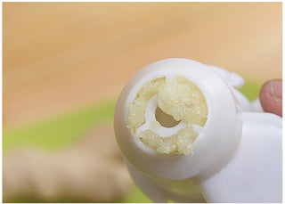 New Garlic Ginger Shredder Cutter Hand Driven Handle Presser Kitchen Tool Helper #55561 Alodia Store