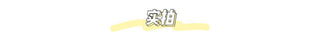 Fashion Platform Chunky Sneakers for Women Thick alodia store