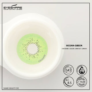 EYESHARE 1 Pair Colored Contact Lenses Natural Look Gray Eye Lenses Brown Contact Blue Lenses Fast Delivery Green Eye Lenses Alodia Store