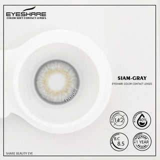 EYESHARE 1 Pair Colored Contact Lenses Natural Look Gray Eye Lenses Brown Contact Blue Lenses Fast Delivery Green Eye Lenses Alodia Store
