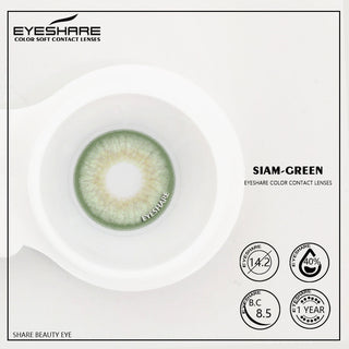 EYESHARE 1 Pair Colored Contact Lenses Natural Look Gray Eye Lenses Brown Contact Blue Lenses Fast Delivery Green Eye Lenses Alodia Store