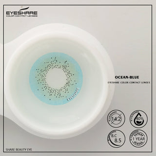 EYESHARE 1 Pair Colored Contact Lenses Natural Look Gray Eye Lenses Brown Contact Blue Lenses Fast Delivery Green Eye Lenses Alodia Store