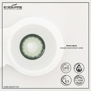 EYESHARE 1 Pair Colored Contact Lenses Natural Look Gray Eye Lenses Brown Contact Blue Lenses Fast Delivery Green Eye Lenses Alodia Store