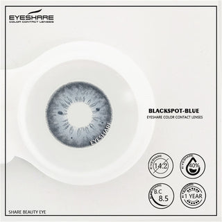 EYESHARE 1 Pair Colored Contact Lenses Natural Look Gray Eye Lenses Brown Contact Blue Lenses Fast Delivery Green Eye Lenses Alodia Store