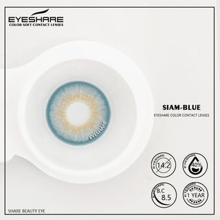 EYESHARE 1 Pair Colored Contact Lenses Natural Look Gray Eye Lenses Brown Contact Blue Lenses Fast Delivery Green Eye Lenses Alodia Store
