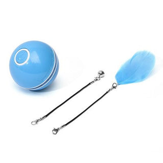 LED Colorful Cat Toy ALODIA STORE