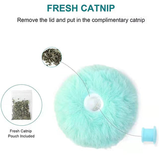 Smart Interactive Cat Toys ALODIA STORE