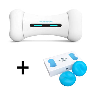 Pet Induction Interactive Toy ALODIA STORE