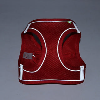 Dog Harness Leash Set for Small Dogs ALODIA STORE