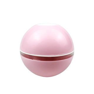 Pet Induction Interactive Toy ALODIA STORE
