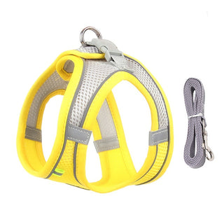 Dog Harness Leash Set for Small Dogs ALODIA STORE