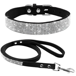 Pet Collar Leash Set ALODIA STORE