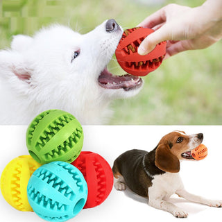 Rubber Balls Chewing Pet Toys ALODIA STORE