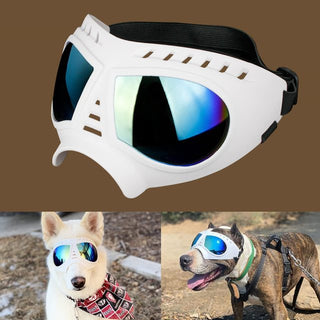 Soft Frame Puppy Glasses ALODIA STORE