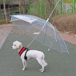 Pet Umbrella Leash ALODIA STORE