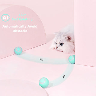 Smart Cat Ball Toys ALODIA STORE