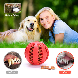 Rubber Balls Chewing Pet Toys ALODIA STORE