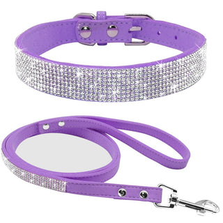 Pet Collar Leash Set ALODIA STORE