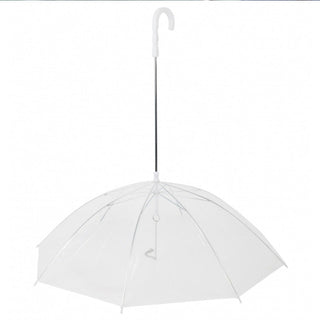 Pet Umbrella Leash ALODIA STORE
