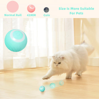 Smart Cat Ball Toys ALODIA STORE