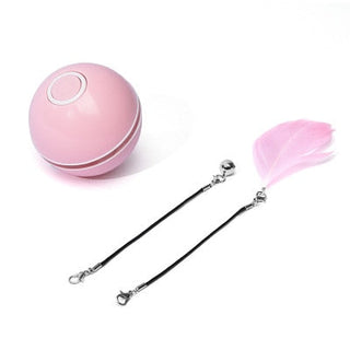 LED Colorful Cat Toy ALODIA STORE