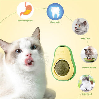 Avocado Mint Ball Toy ALODIA STORE