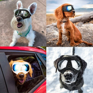 Soft Frame Puppy Glasses ALODIA STORE