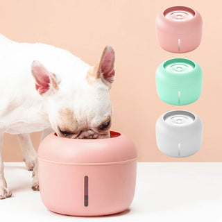 Pet Drinking Bowl ALODIA STORE