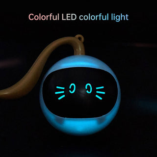 Kitten Electronic Ball ALODIA STORE