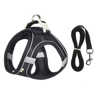 Dog Harness Leash Set for Small Dogs ALODIA STORE