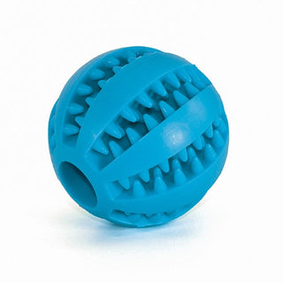 Watermelon Ball for Dog Toy ALODIA STORE