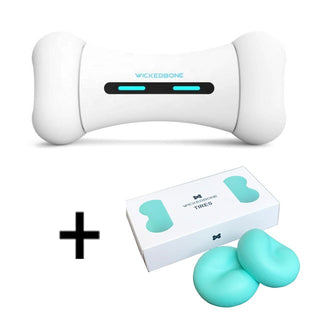 Pet Induction Interactive Toy ALODIA STORE