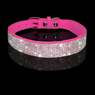 Pet Collar Leash Set ALODIA STORE