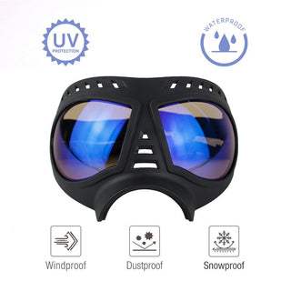 Soft Frame Puppy Glasses ALODIA STORE