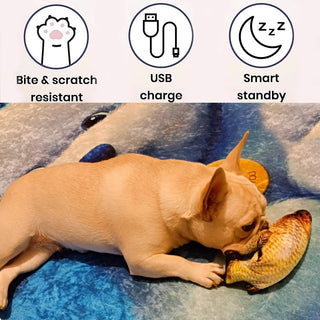 Pets Interactive Electronic Floppy Fish Toys ALODIA STORE