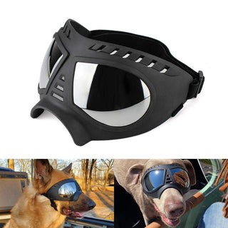 Soft Frame Puppy Glasses ALODIA STORE