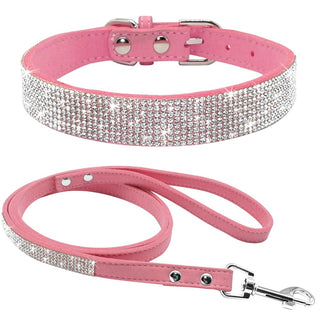 Pet Collar Leash Set ALODIA STORE