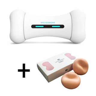 Pet Induction Interactive Toy ALODIA STORE