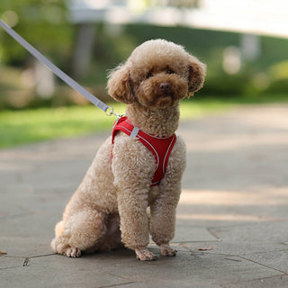 Dog Harness Leash Set for Small Dogs ALODIA STORE