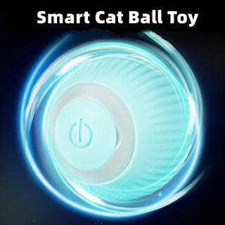 Smart Cat Ball Toys ALODIA STORE