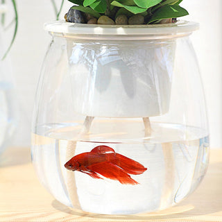 Self Watering Planter Pots Mini Round Design Succulent Plant Pot Indoor Home Garden Modern Decorative Pot Garden Supplies FU ALODIA STORE