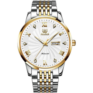 OLEVS Top Brand Automatic Mechanical Men Watch Threaded Dial Waterproof Stainless Steel Strap Classic Men's Watches Luxury ALODIA STORE