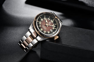 PAGANI DESIGN 2020 Fashion New Men Watch Brand Luxury Waterproof Watch Sports Business Watch Men Stainless Steel Automatic Watch ALODIA STORE