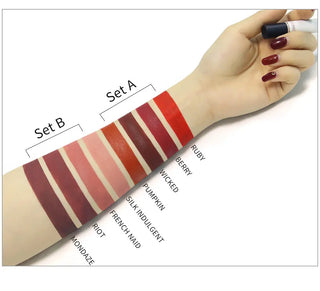 QIBEST Matte Liquid Lipstick Makeup Set Lip Makeup Set Long Lasting Lip Gloss Waterproof Lip Tint Matte Lipgloss Cosmetic Kit - Alodia Store