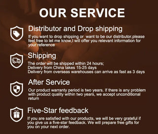 Switzerland Luxury Brand Men Skeleton Watch Leather Seagull Movement Automatic Men Watch Business relogios masculino Waterproof ALODIA STORE