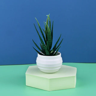 Mini Artificial Aloe Plants Bonsai Small Simulated Tree Pot Plants Fake Flowers Office Table Potted Ornaments Home Garden Decor ALODIA STORE