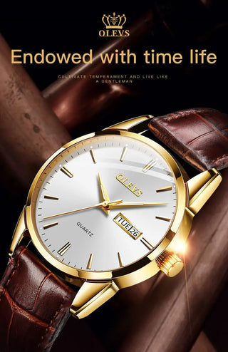 OLEVS Top Brand  Men Classic Quartz Waterproof Watch Leather Strap Business Popular Casual Men Watch ALODIA STORE