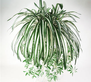 Artificial Plant Vines Wall Hanging Rattan Leaves Branches Outdoor Garden Home Decoration Plastic Fake Silk Leaf Green Plant Ivy ALODIA STORE