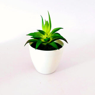 Mini Artificial Aloe Plants Bonsai Small Simulated Tree Pot Plants Fake Flowers Office Table Potted Ornaments Home Garden Decor ALODIA STORE